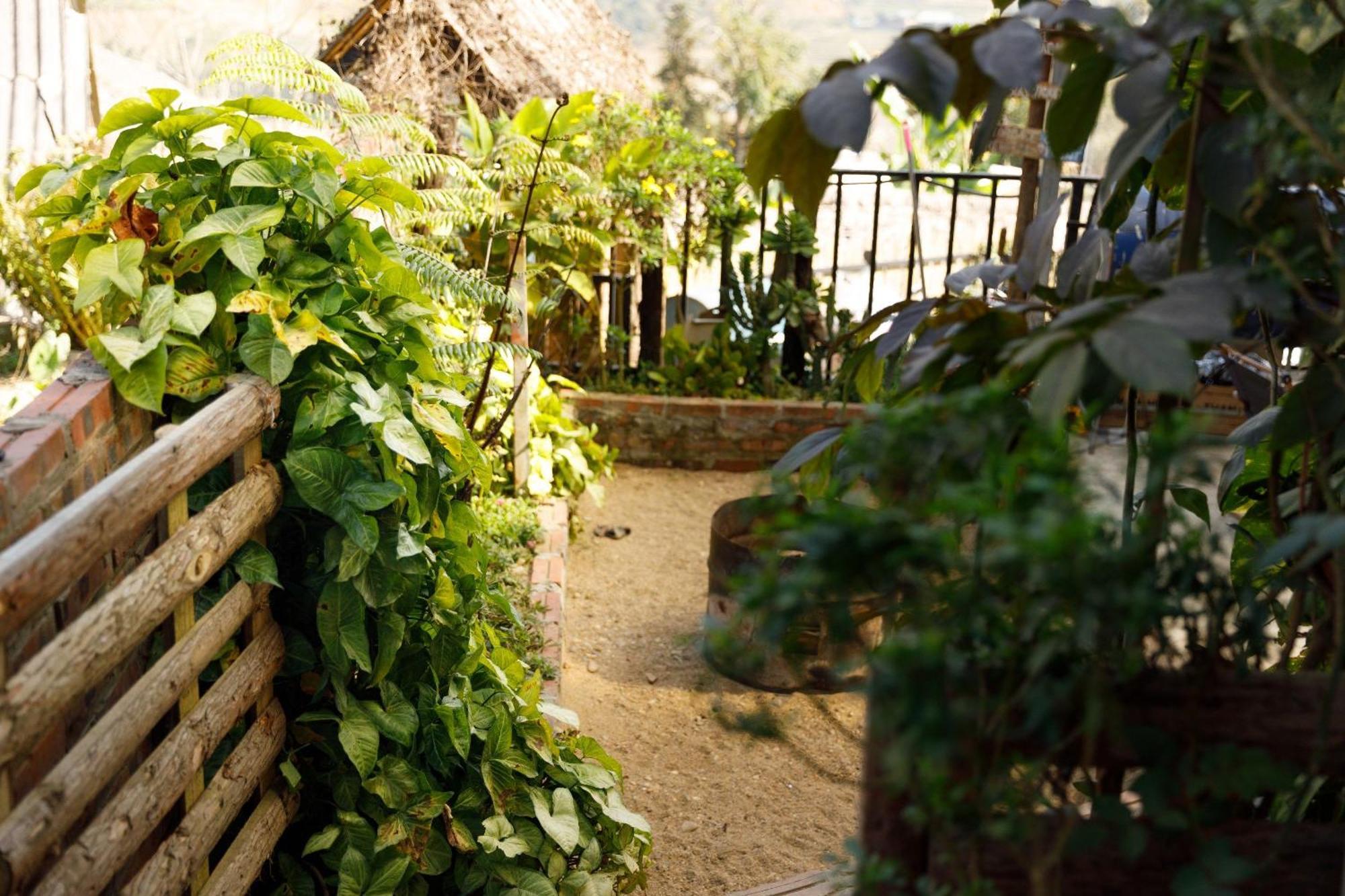 Sapa Plum Eco House Hotel Exterior foto